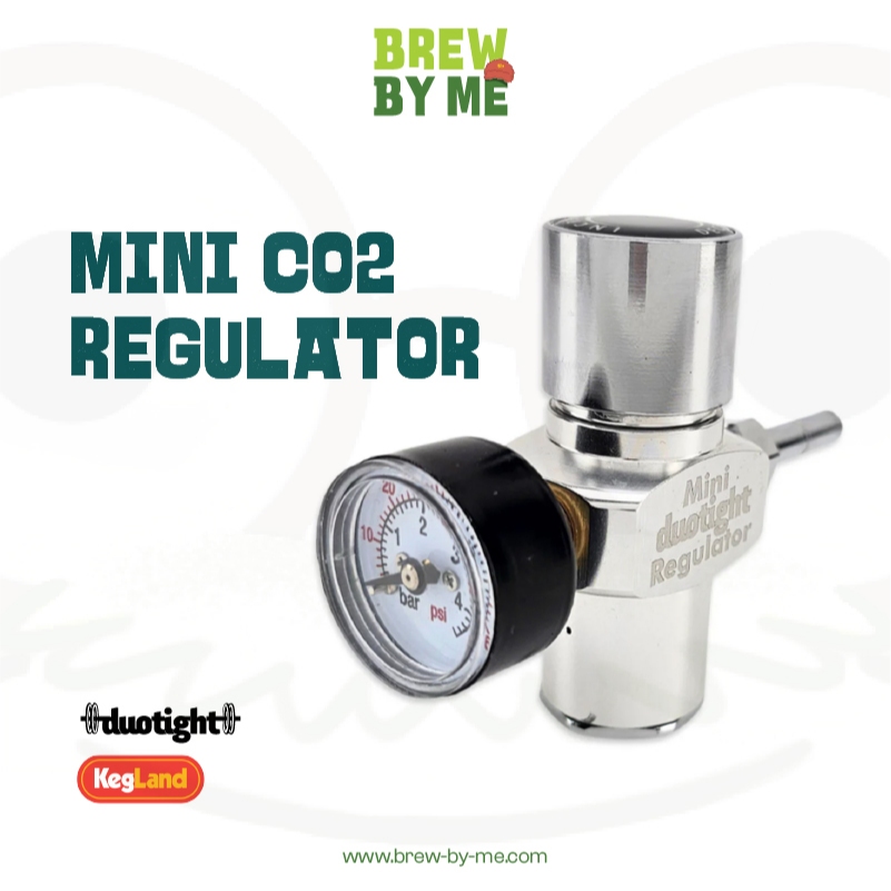 Mini Co2 Regulator – 6.35mm (1/4”)