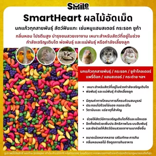 SmartHeart ผลไม้อัดเม็ด สำหรับนกแก้ว และสัตว์ฟันแทะทุกชนิด (แบ่งขาย 250G / 500G / 1KG)