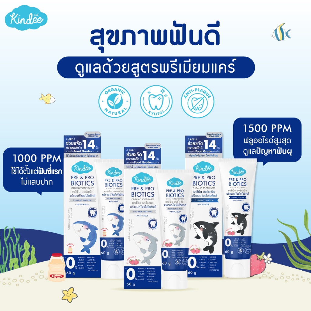 Kindee คินดี้ แปรงสีฟัน ยาสีฟันออร์แกนิค สูตรพรีแอนด์โพรไบโอติกส์ มีฟลูออไรด์ (60 กรัม) - 1