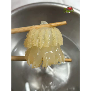 แมงกะพรุนหัวกระสุน 1 กิโลกรัม [ No Brand ]