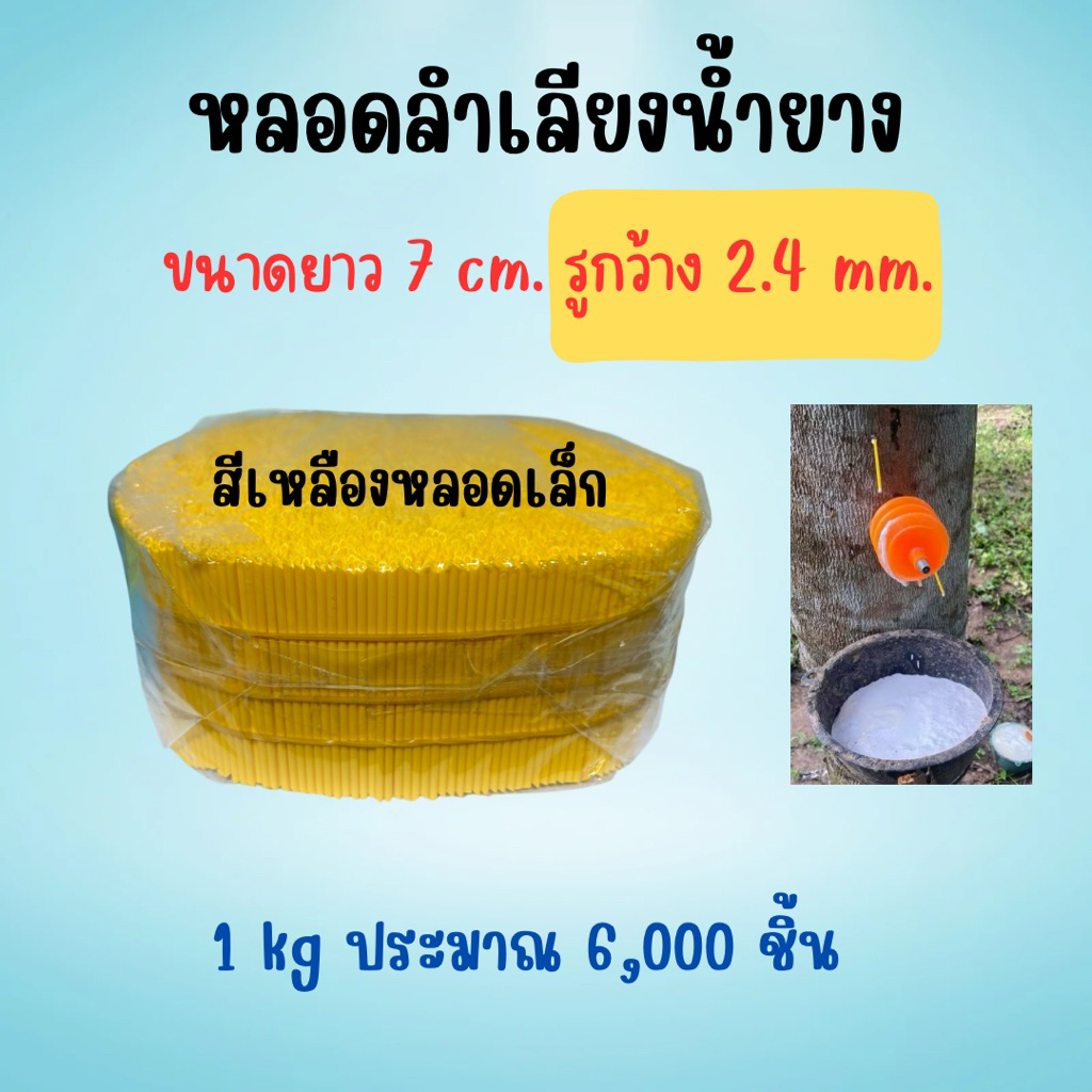 หลอดลำเลียงน้ำยางพารา ขนาด 1 กิโล ใช้สำหรับต้นยางพารา มี2ขนาด 2.4มิลและ3มิล ยาว7เซน