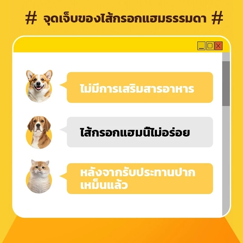 【30 แถม 30】ไส้กรอกแฮม เกรดA ไส้กรอกสุนัข สุนัขอาหารหมา อาหารแมว ขนมแมว ขนมสุนัขแปรรูปจากเนื้อ เป็ด ไก่ ปลา 60 ซอง thumbnail 5