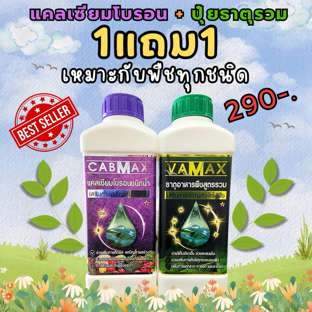 [1แถม1] CabMax+VaMax แคลเซียมโบรอนเข้มข้ม แถม ปุ๋ยธาตุรวม