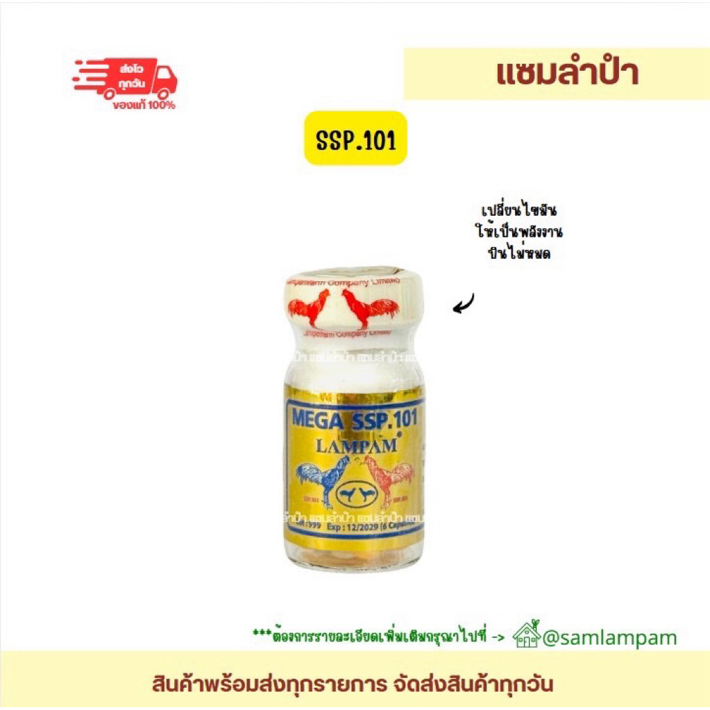 SSP101อาหารเสริมไก่ช่วยให้บินดีขึ้น