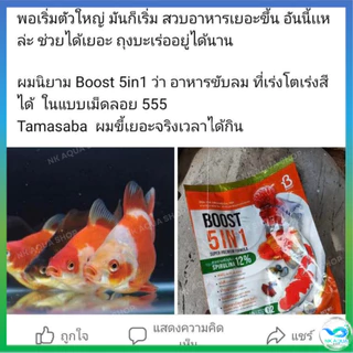ใหม่‼️อาหารปลาสวยงาม ปลาทอง ปลาคาร์ฟ บูสท์ (Boost 5in1) 5 คุณประโยชน์ ครบจบในถุงเดียว ขนาด 800 กรัม