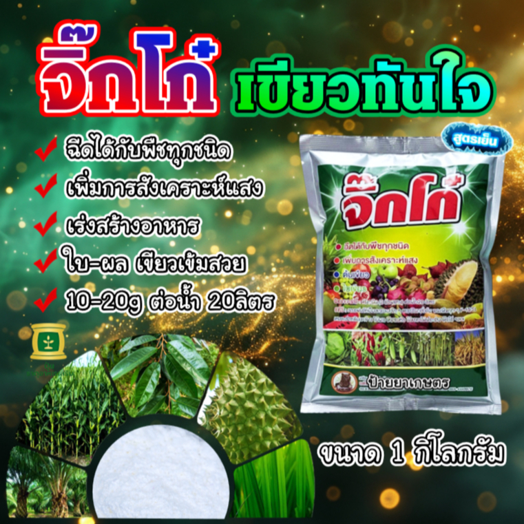 จิ๊กโก๋ ขนาด 1 กิโลกรัม (ยาเขียว สูตรเข้มขน) ผงชูรสพืช สำหรับพืช ใบเขียว ใบสวย หนา ต้นแข็งแรง ใบมัน