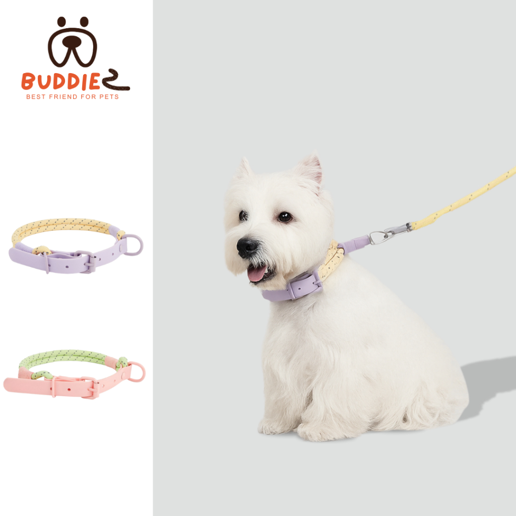 Buddiez ปลอกคอน้องหมา ปลอกคอน้องแมว สายถักไนลอน+ยาง PVC สีพาสเทลสุดน่ารัก