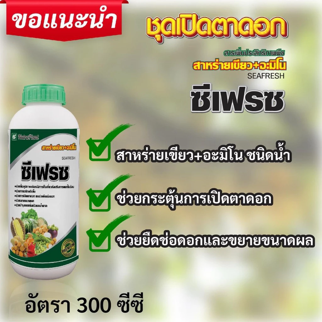 ซีเฟรช สาหร่ายเขียว+อะมิโน นูตร้าแพลนท์ ขนาด 1 ลิตร กระตุ้นการแตกใบอ่อน,รากและใบ,เปิดตาดอก
