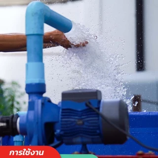 ปั๊มหอยโข่งไฟฟ้า 1นิ้ว 2 นิ้ว Nakita รุ่น MHF5AM มอเตอร์ทองแดง 100เปอร์เซ็นใบพัดสแตนเลส ประสิทธิภาพและกำลังส่งน้ำ 2 เท