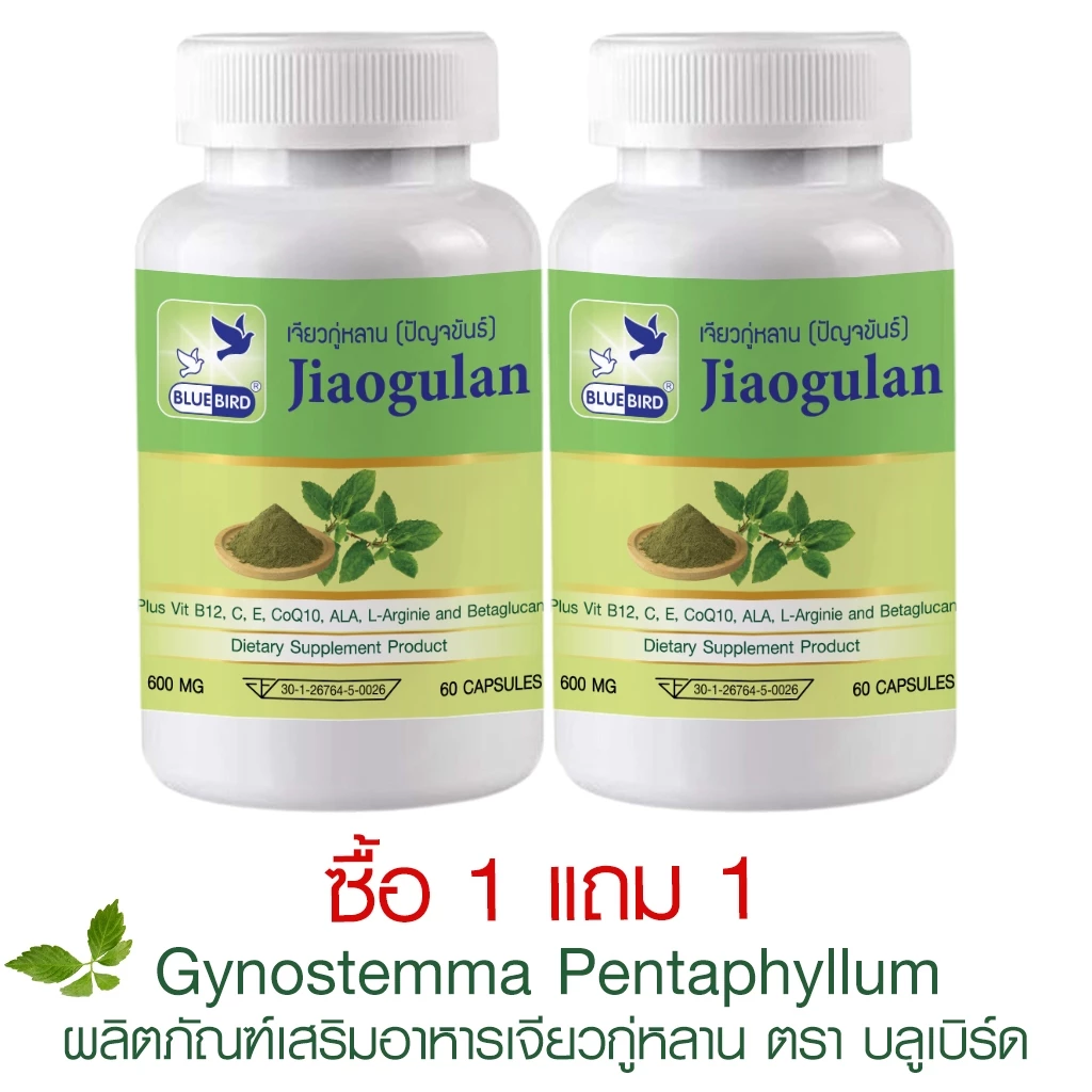 [1แถม1] สมุนไพรปํญจขันธ์ เจียวกู่หลาน Jiaogulan ตรา บลูเบิร์ด ขนาด 600 มิลลิกรัม 60 แคปซูล