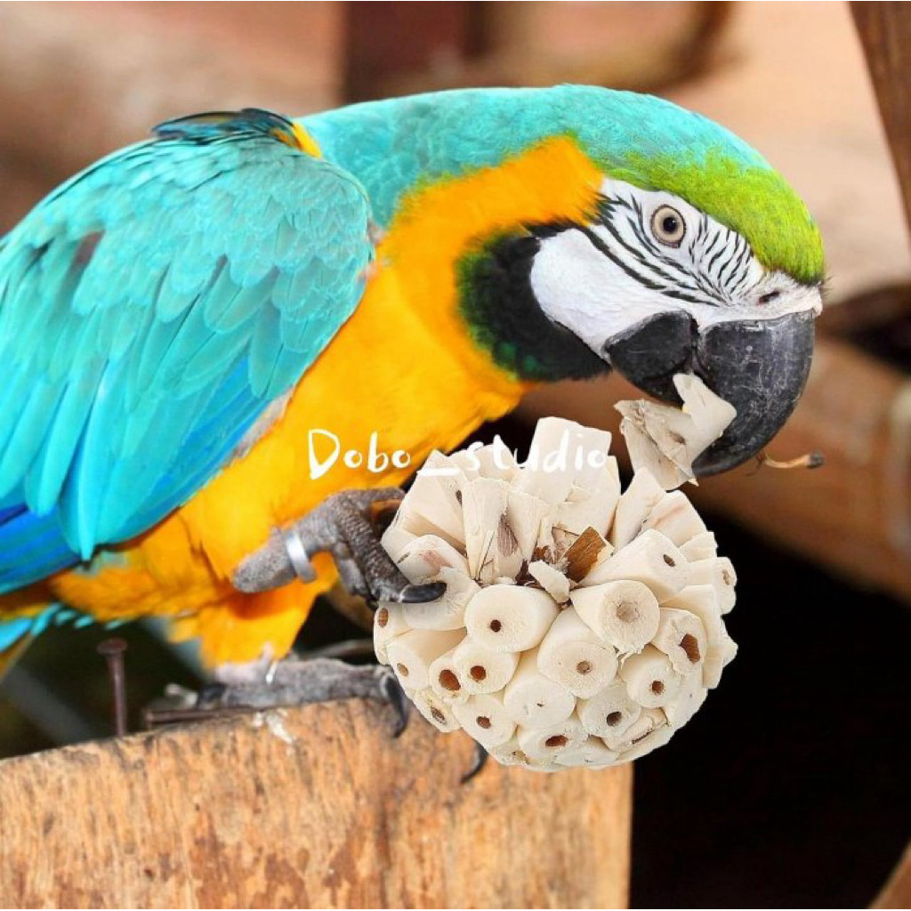 E-57 ของเล่นนกแก้ว สำหรับแทะเล่น ทำจากพืชที่ธรรมชาติ นุ่ม กัดง่าย 6ซม E57