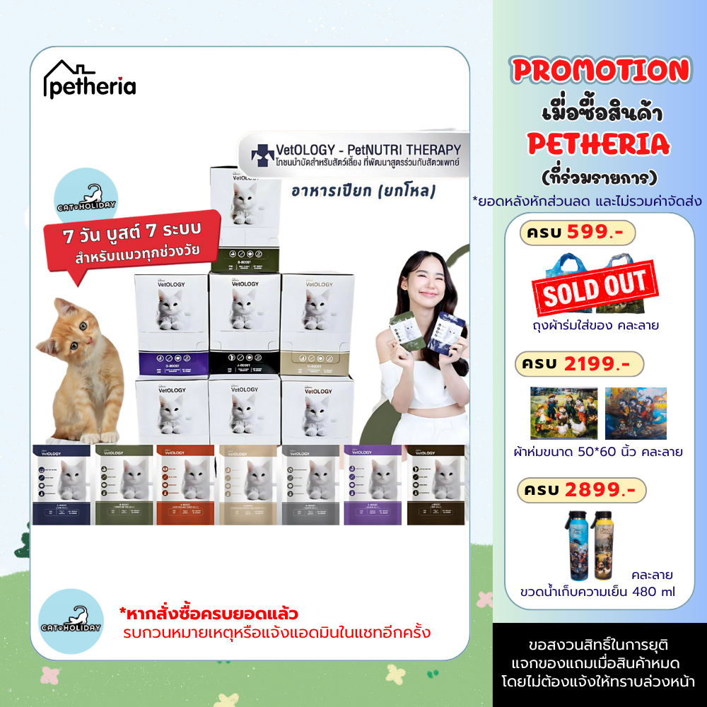 (ยกโหล 12 ซอง ) Petheria  VetOLOGY Boost เพ็ทเทอเรีย อาหารเปียก สำหรับแมวทุกช่วงวัย