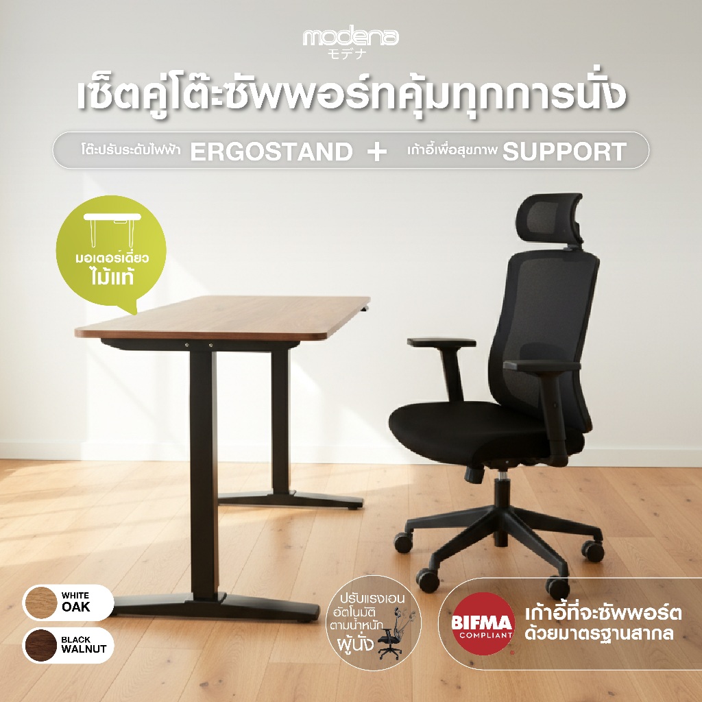 [ErgoSet] เก้าอี้ Function Support + โต๊ะปรับระดับไฟฟ้า ErgoStand