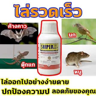 🦇 ขับไล่ค้างคาวได้ถึง100% ไล่ค้างคาว นำเข้าจากญี่ปุ่น ยาค้างคาว ค้าวคาว สัตว์ปีกทุกชนิด+แมลงทุกสายพันธุ์ ยาไล่ค้างคาว