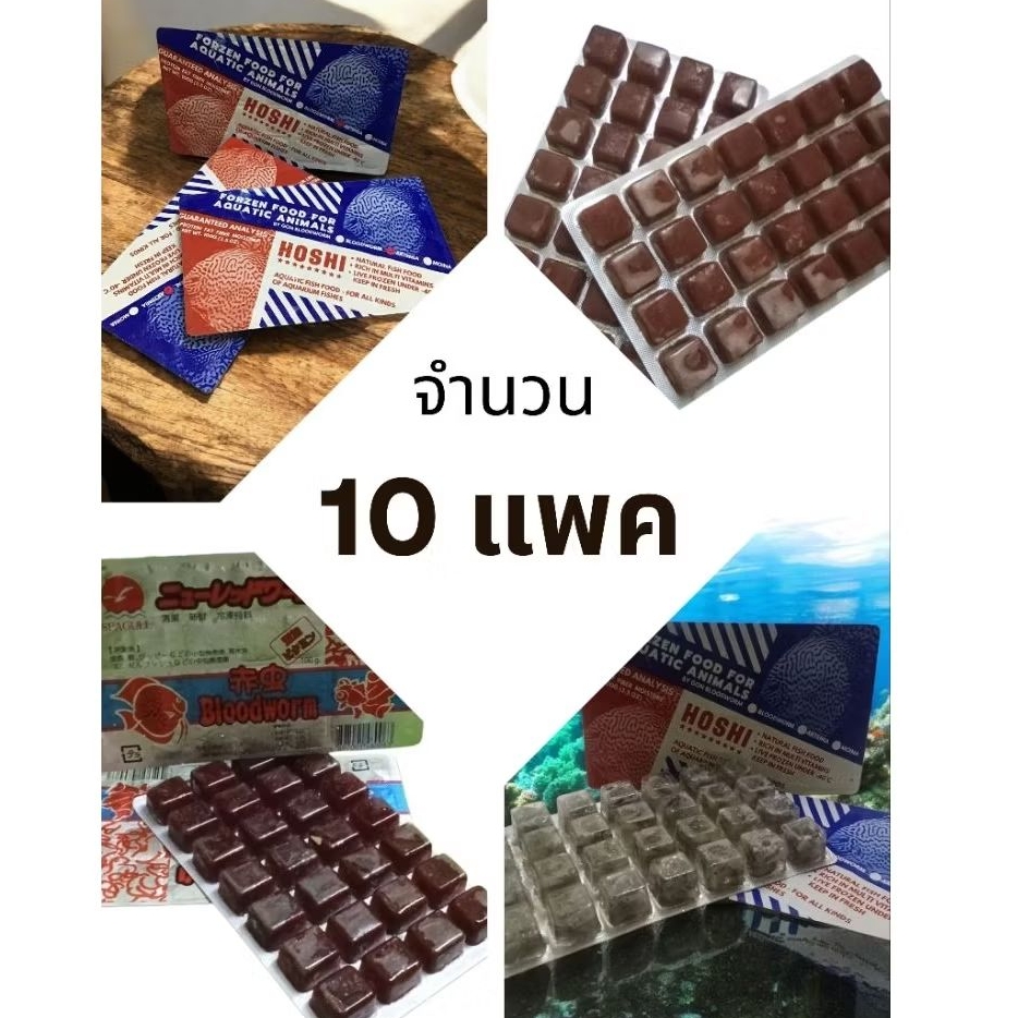 ไรฝุ่น ไรทะเล หนอนแดง กุ้งฝอย ✨ส่งด่วน✨ อาหารปลาและสัตว์น้ำทุกชนิด 10 แพค