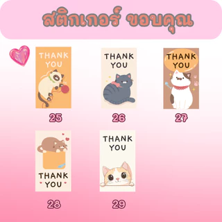 🔥สติกเกอร์กันน้ำ 100%💦 ชุด ขอบคุณ Thank You ลายแมว แบบ 2 (ขนาด 3.5x6 cm ได้ 55 ดวง)