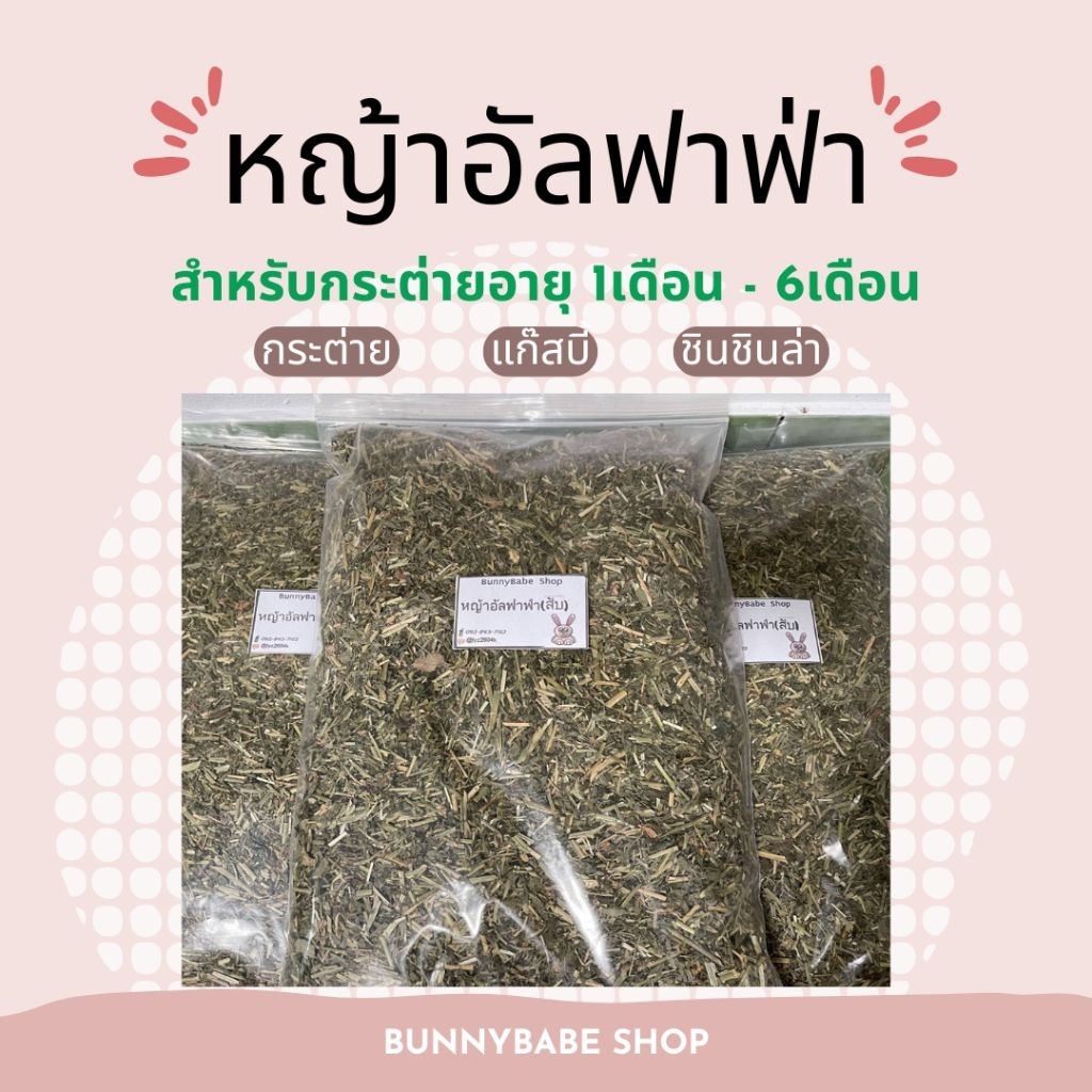 ( เข้าใหม่!!! ) หญ้าอัลฟาฟ่าสับ (ออสเตรเลีย) || หญ้าอัลฟาฟ่าก้าน || โอ๊ตสับ เกรดพรีเมี่ยม