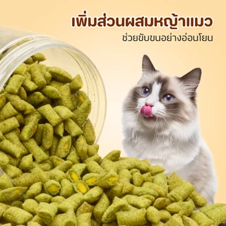 TUBI ขนมแมว คุกกี้มิ้นท์100gช่วยขับก้อนขน รสชาติอร่อย3 รสชาติ ตอบสนองทุกความต้องการของแมวของคุณ