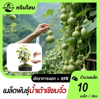 น้ำเต้าเซียนจิ๋ว🎯เมล็ดพันธุ์น้ำเต้าเซียนจิ๋ว 10เมล็ด🍀ปลูกง่าย🎈ผลดก☘️ทานได้👍ประดับตกแต่งเรียกโชคดีได้