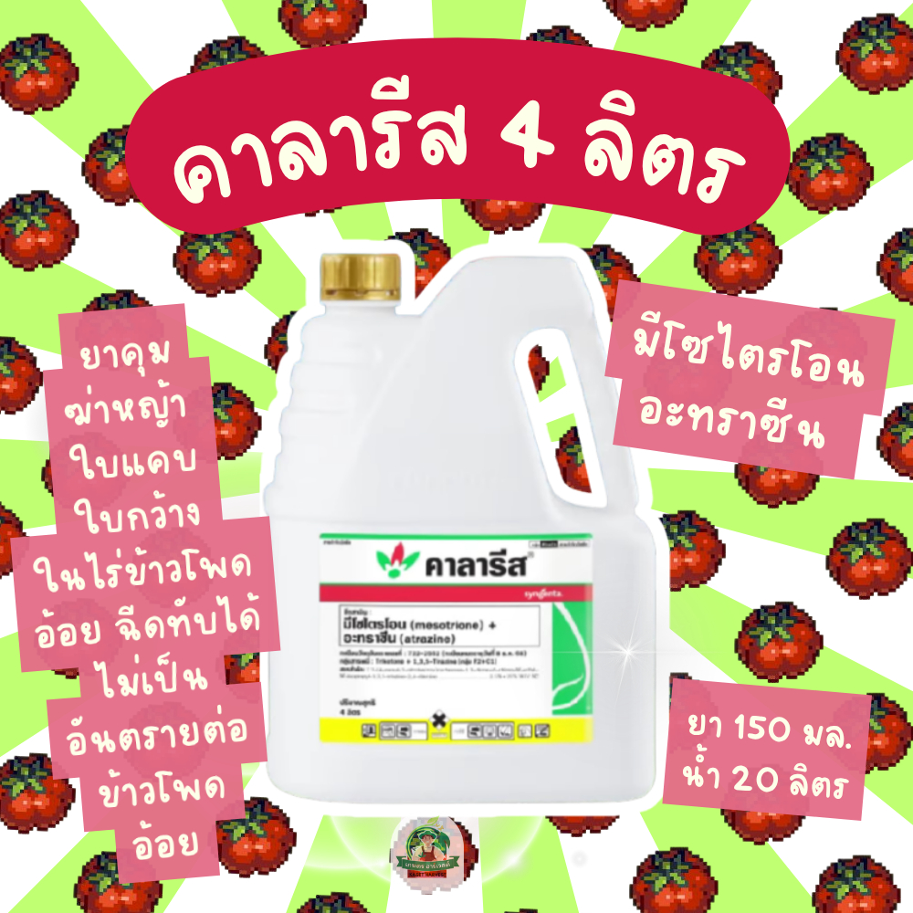 คาลารีส 4 ลิตร ซินเจนทา ยาฆ่าหญ้าใบแคบใบกว้าง ฉีดทับได้ ในไร่อ้อย ข้าวโพด