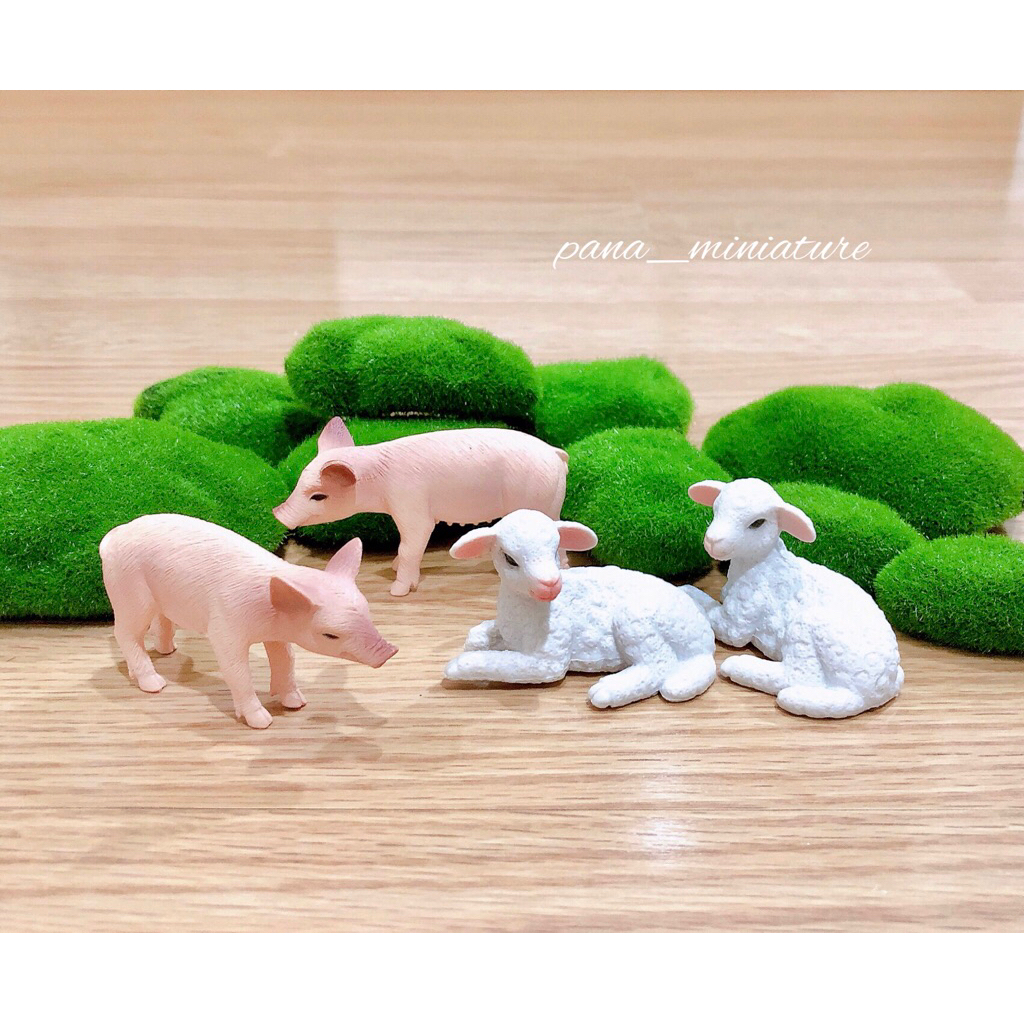 โมเดลหมู แกะ ขนาดเล็ก ราคา/ชิ้น