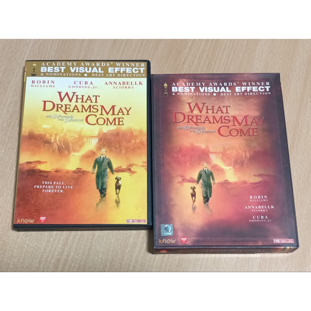 DVD ภาพยนตร์ WHAT DREAMS MAY COME ( เสียงไทย )