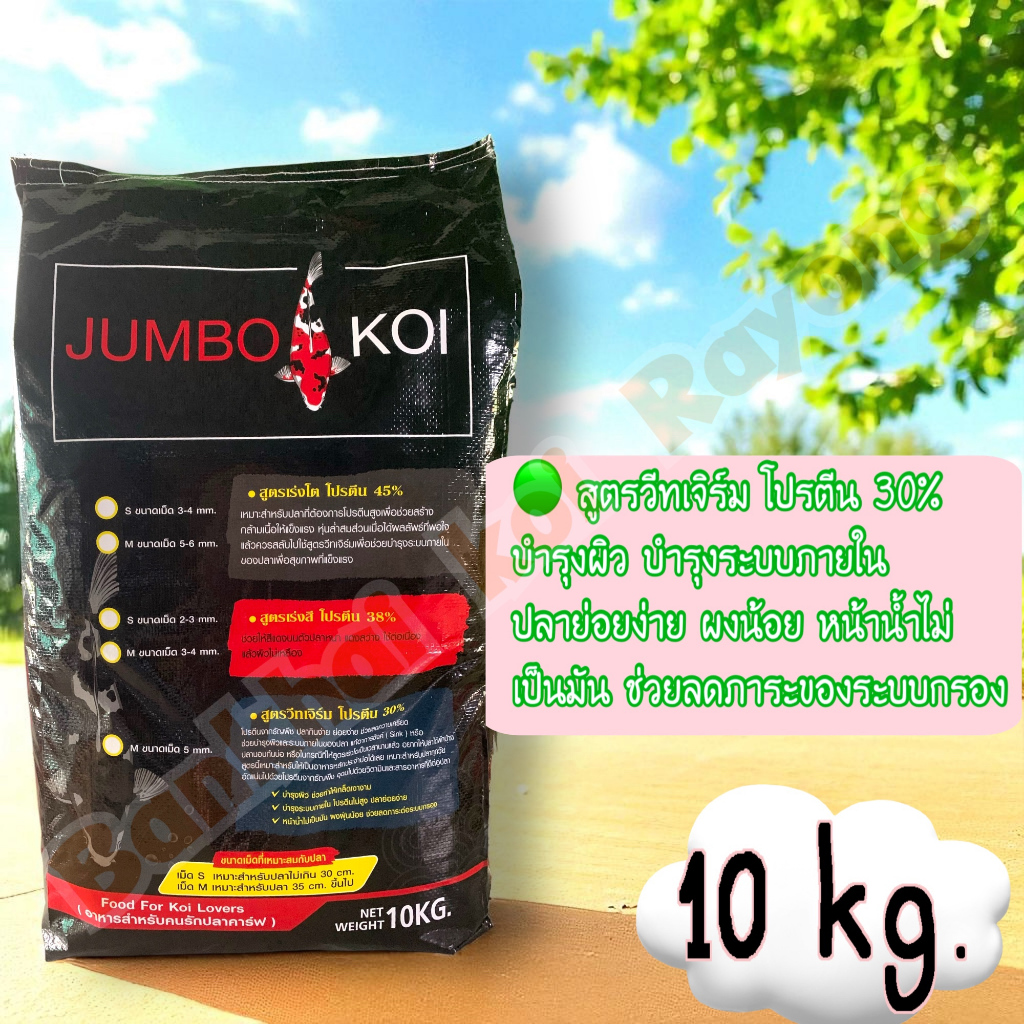 จัมโบ้โค่ย วีทเจิร์ม 💥 ( JUMBO KOI WHEAT GERM )​ ขนาด 10 กก.เม็ด M
