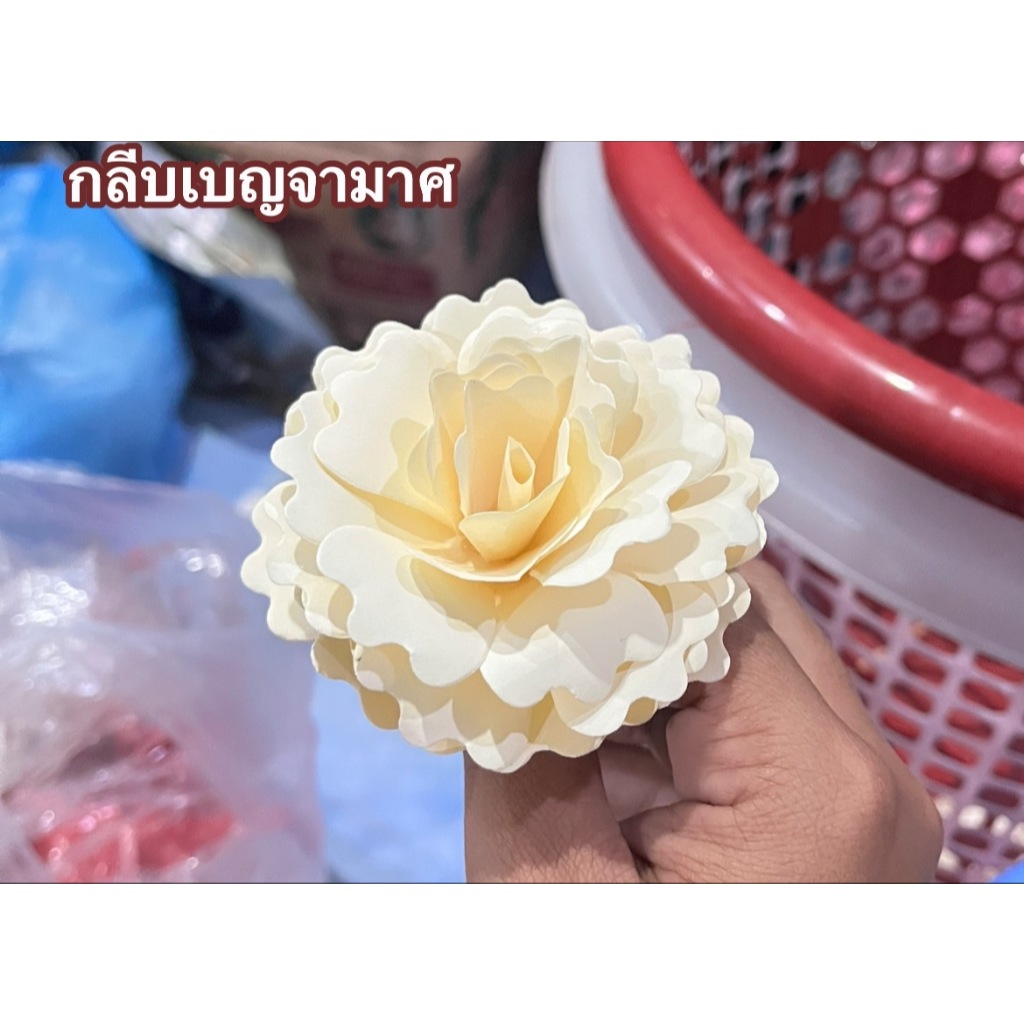 กลีบดอกเบญจมาศ กลีบดอกไม้งานประดิษฐ์