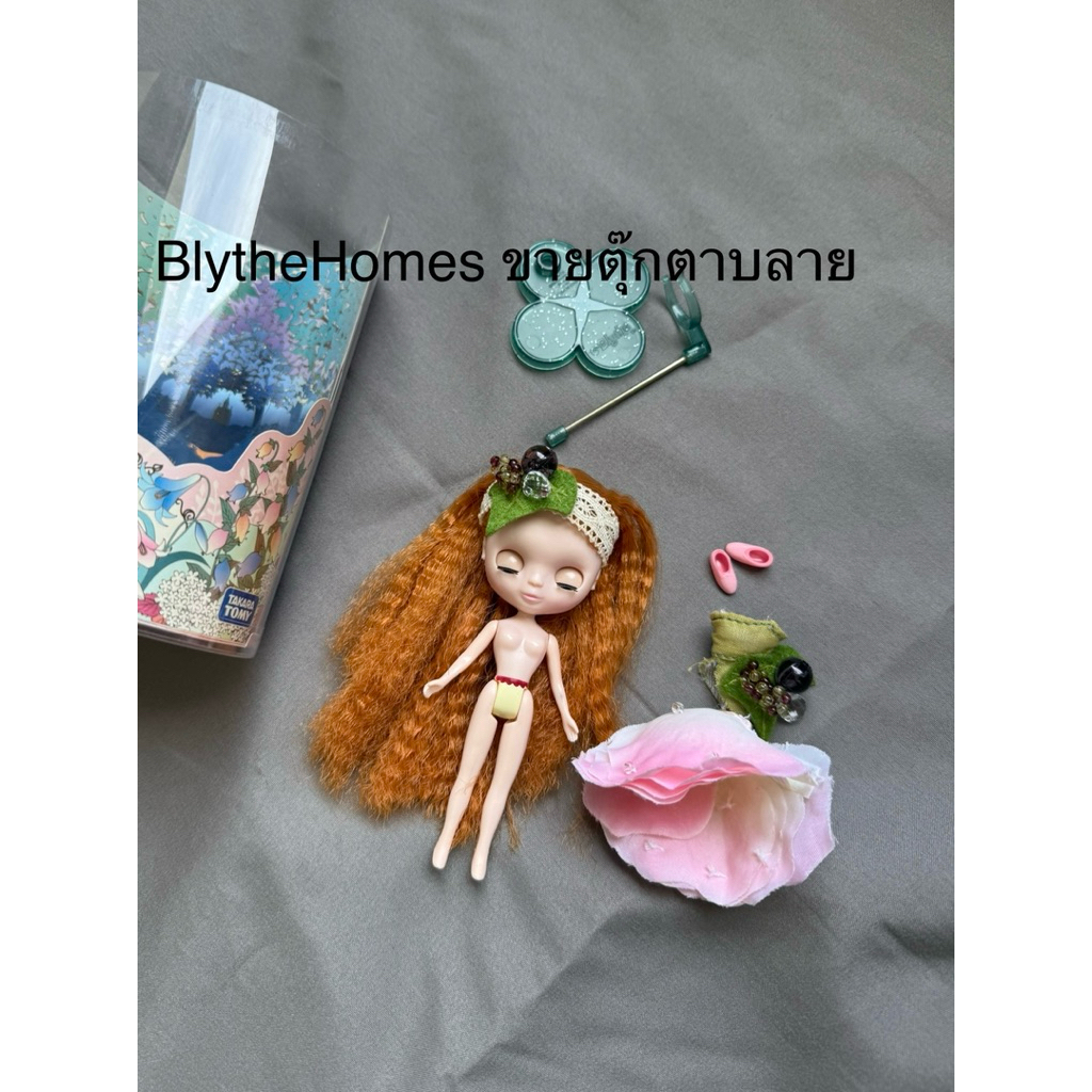 Blythe petite eleanor anniversary 7th