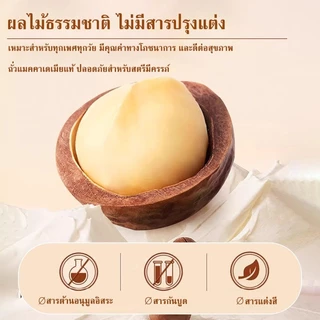 🌰แมคคาเดเมีย ถั่วแมคคาเดเมียคัดพิเศษ แมคคาเดเมีย 200g 500g 1000g เม็ดใหญ่ เต็มเปี่ยมด้วยสุขภาพ อร่อยและมีประโยชน์
