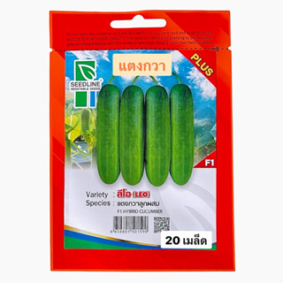 แตงกวา ลีโอ ลูกเขียว (20 เมล็ด) ตราซีดไลน์