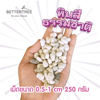 หินสีธรรมชาติ ปริมาณ 250 g หินประดับตกแต่ง  หินใส่กระถางเล็ก…