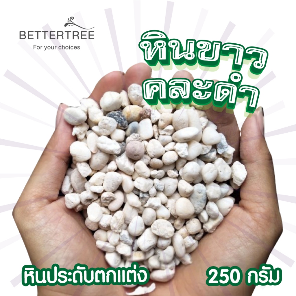 หินขาวคละดำ ปริมาณ 250 กรัม เม็ดเล็ก หินสี รูปที่ 3