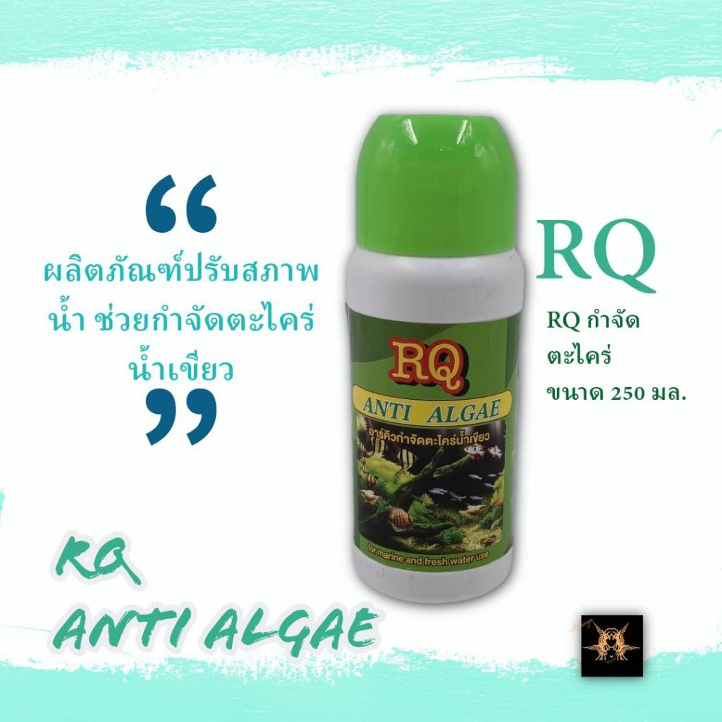 ผลิตภัณฑ์ปรับสภาพน้ำ กำจัดตะไคร่ อาร์คิว แอนตี้ แอลจี้ RQ Anti Algae 250 มล. ฝาสีเขียว สำหรับปลาสวยงาม