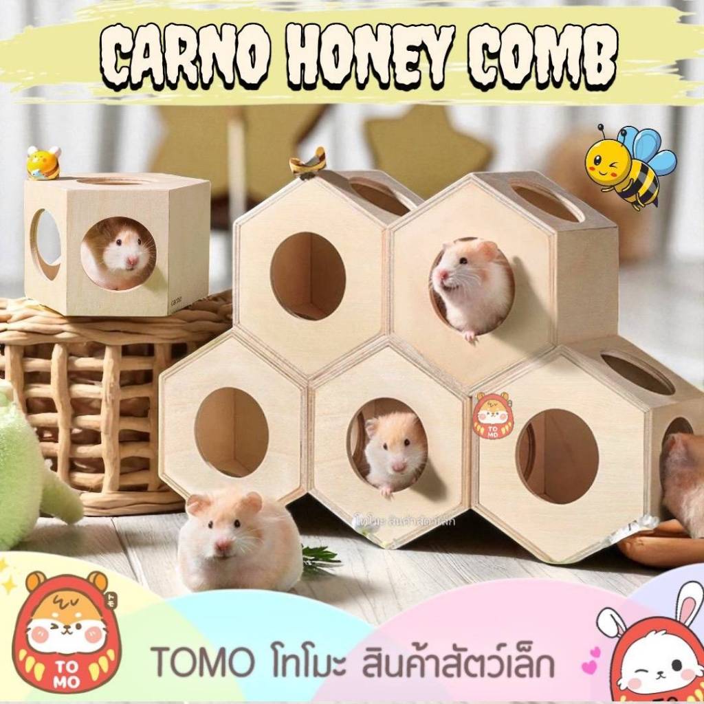 ร้านโทโมะ CARNO บ้านไม้ทรงรังผึ้ง สุดคิ้วท์ สามารถนำมาประกอบติดกันให้กลายเป็นรังผึ้งได้ เหมาะกับ แฮม เจอร์บิล