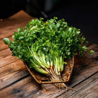 เมล็ดพันธุ์ ผักชีไทย Thai Coriander Seed 1800 เมล็ด คุณภาพดี ของแท้ 100%