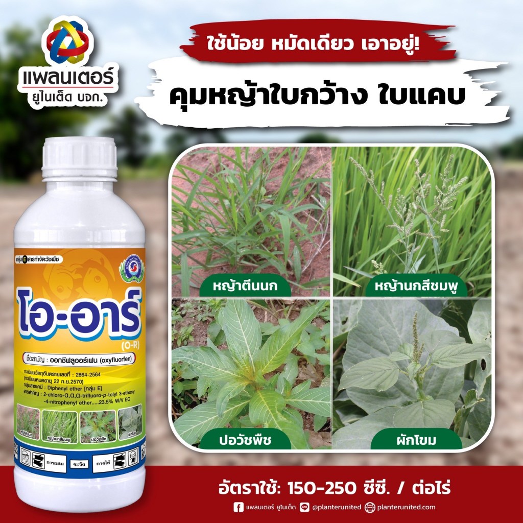 ใหม่! โออาร์ ออกซีฟลูออร์เฟน คุมหญ้าก่อนงอก ในแปลงผัก พริก นาข้าว ไร่อ้อย ฯลฯ คุมหญ้าได้หมด จบในขวดเดียว ขนาด 1 ลิตร