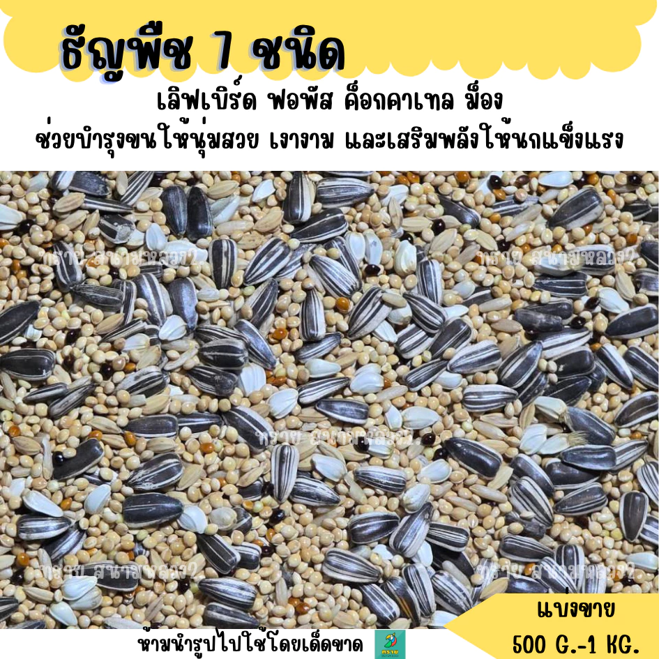 ธัญพืช 7 ชนิด (แบ่งขาย 500 G.-1 KG.) อาหารนกแก้วขนาดเล็ก