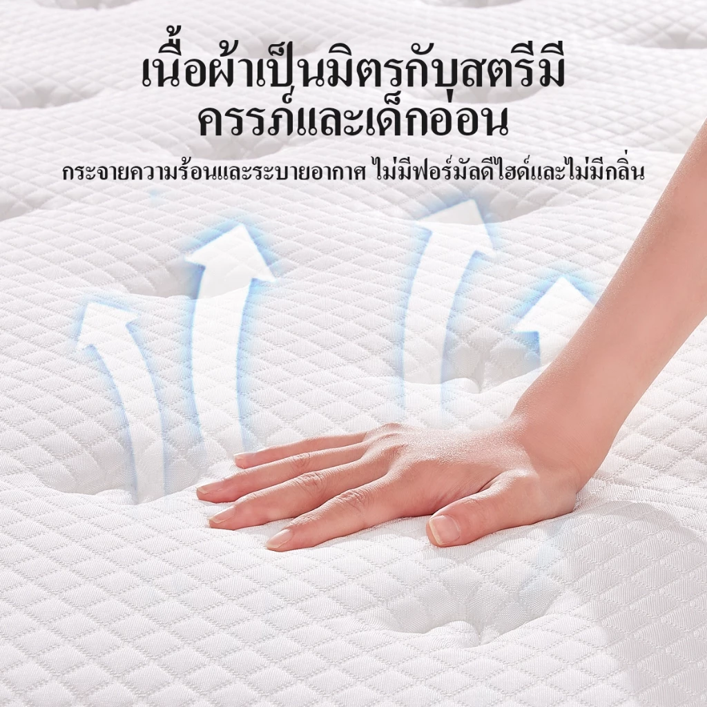 Novilla ที่นอนยางพารา สปริงพ็อกเก็ต หนา 12 นิ้ว รุ่น IceMint thumbnail 7