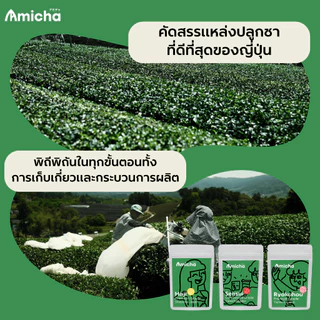 [AMICHA] - SHINKO (ชินโกะ) ขนาด 20 กรัม ผงมัทฉะ 100% 🌱 จากเมืองอูจิ, เกียวโต ประเทศญี่ปุ่น | Ceremonial grade