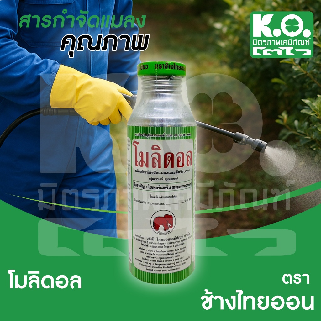 โมลิดอล ขนาด 250 มิลลิลิตร สารกำจัดแมลงคลาน ชนิดน้ำ กำจัดแมลงคลาน