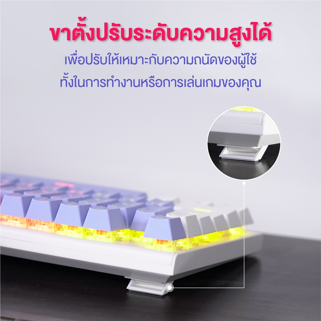 รูปภาพ 6