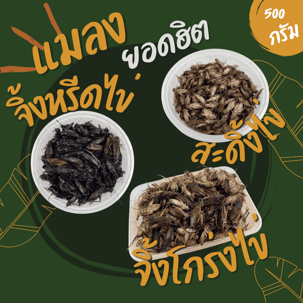(ไม่ใส่เกลือ) จิ้งหรีดไข่ + สะดิ้งไข่ + จิ้งโกร่งไข่ (ส่งรถห้องเย็น) ค่าส่งเหมาๆ สดใหม่สะอาด ปลอดภัย ส่งตรงจากฟาร์ม