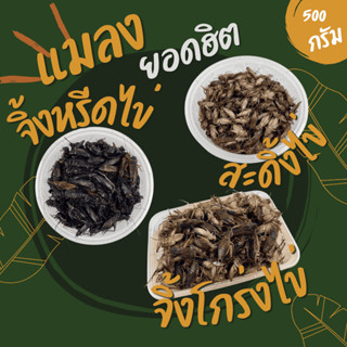 (ไม่ใส่เกลือ) จิ้งหรีดไข่ + สะดิ้งไข่ + จิ้งโกร่งไข่ (ส่งรถห…