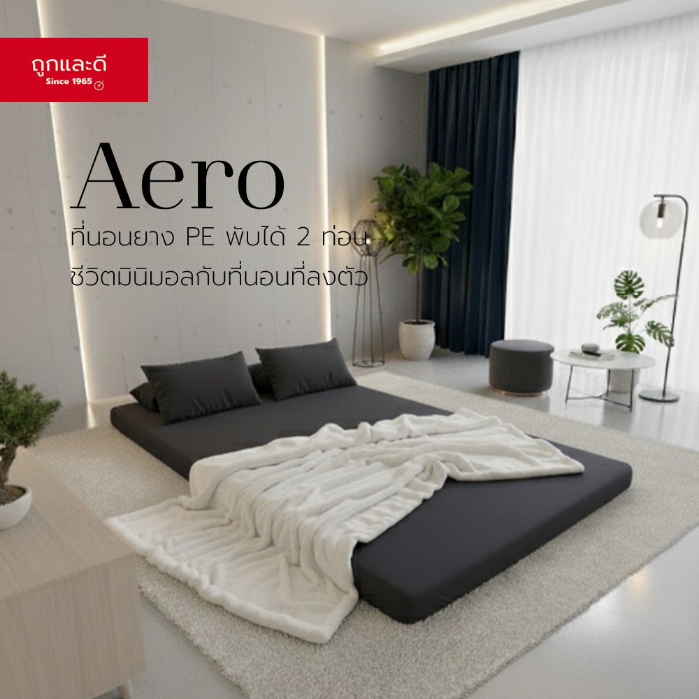 Took Lae Dee ที่นอนยาง PE พับได้ 2 ท่อน รุ่น Aero ที่นอนมินิมอล นอนสบาย พับเก็บง่าย ประหยัดพื้นที่