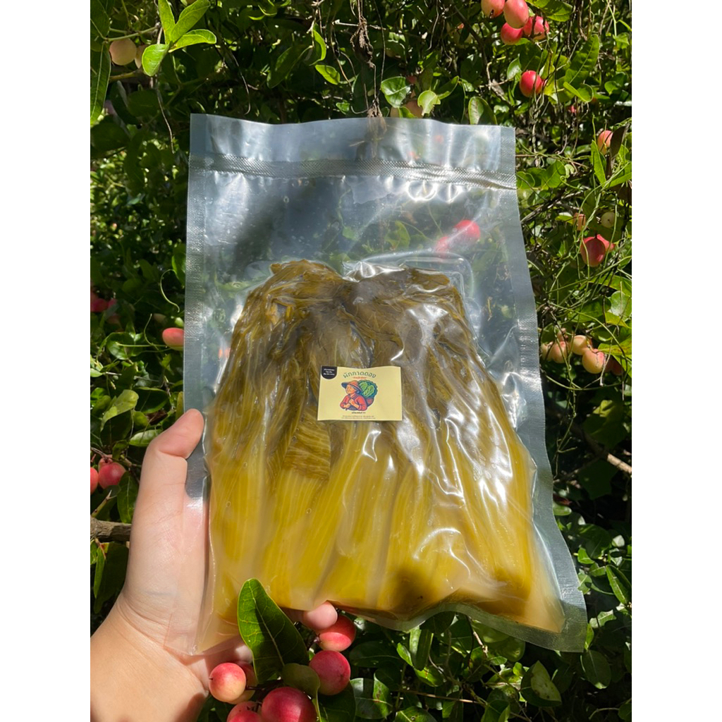🥬 ผักกาดดองพรีเมียม เกลือหิมาลัยชมพูแท้ 500g-1kg. | เปรี้ยวกลม เค็มอ่อน หอมหมักธรรมชาติ - รูปที่ 4