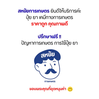 โคโยตี้ coyote ขนาด 200 cc | สารชักนำดอกเพศเมียในพืชตระกูลแตง | แตงลูกดก