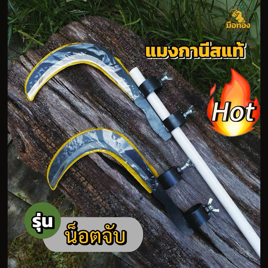 เคียวเหล็กแมงกานีสแท้ คมจริง ตัดง่ายไม่ลื่น มือทองอุปกรณ์การเกษตร thumbnail 5
