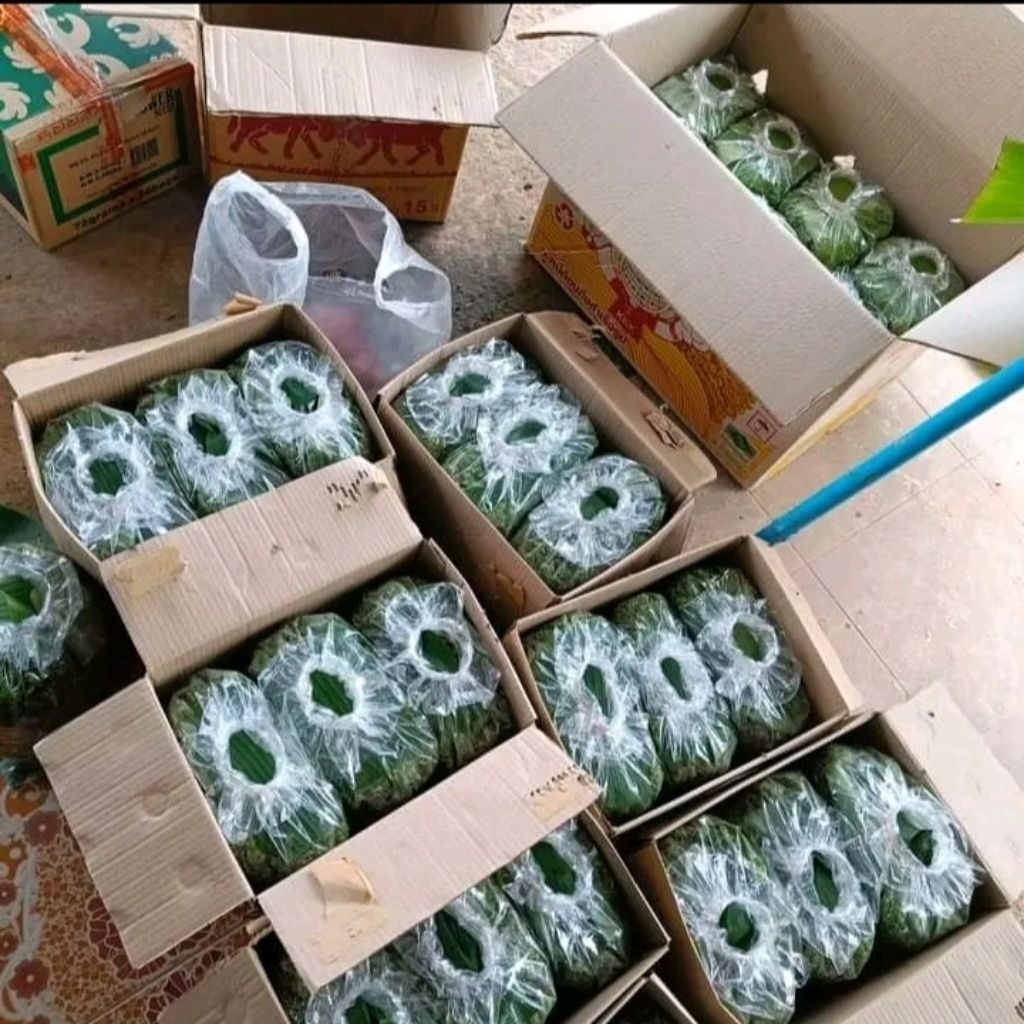 💚แหนแดง 1 กิโล แถมฟรี☘️ ชุดจอกประดับอ่าง 1 เซต - รูปที่ 4