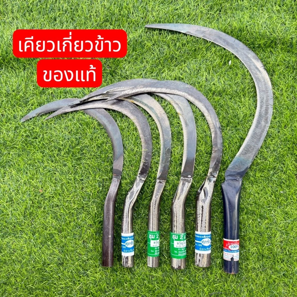 เคียว เคียวเกี่ยวข้าว เคียวปลาหลด เคียวเกี่ยวหญ้า มี ตัด8, ตัด10,ตัด12